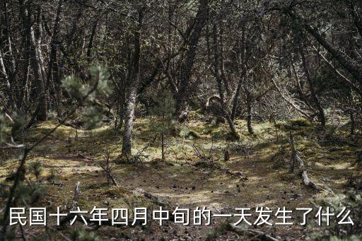 民國十六年四月中旬的一天發生了什么