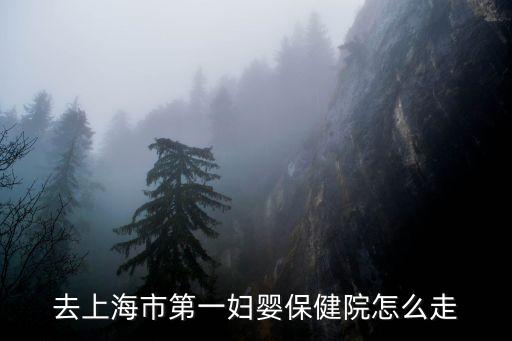 去上海市第一婦嬰保健院怎么走