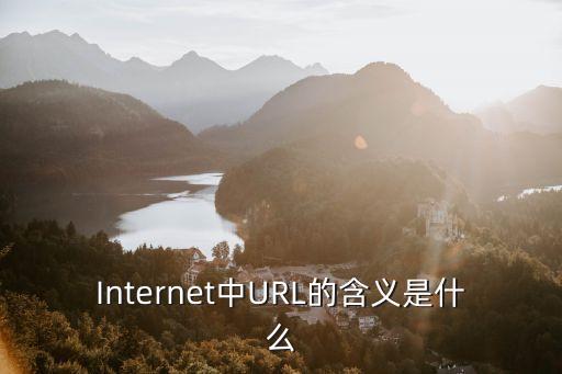 Internet中URL的含義是什么