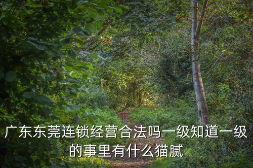 東莞小莞家合法嗎，東莞計時房犯法嗎