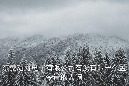 東莞動力電子有限公司有沒有叫一個孟令譜的人啊