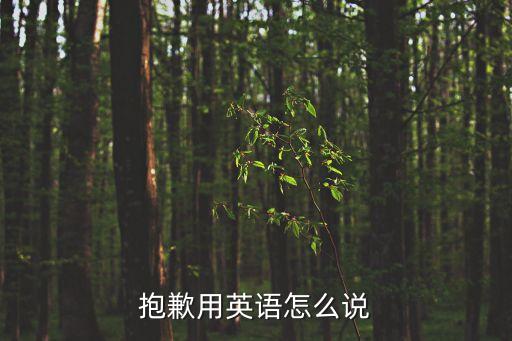 抱歉的英文，請問抱歉英文什么寫