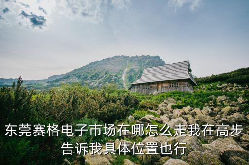東莞賽格電子廠在哪，東莞中美電器廠地址