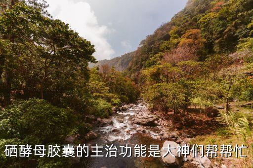 硒酵母膠囊的主治功能是大神們幫幫忙