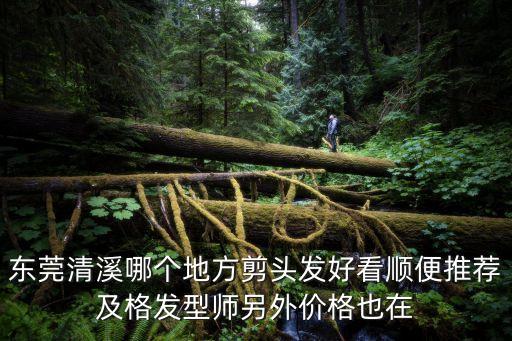 東莞清溪哪個地方剪頭發好看順便推薦及格發型師另外價格也在
