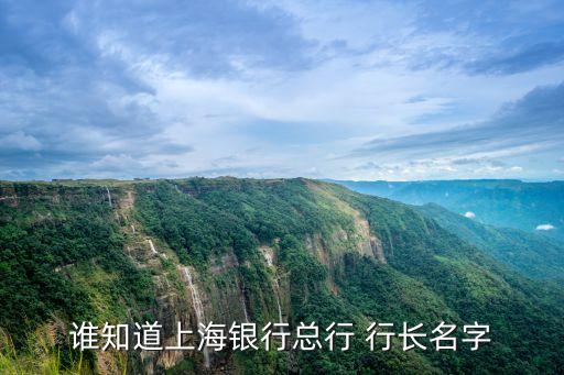 誰知道上海銀行總行 行長名字