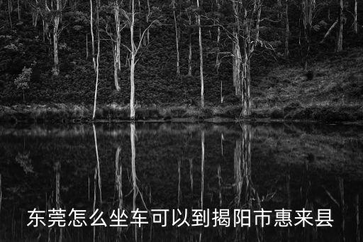 東莞怎么坐車可以到揭陽市惠來縣