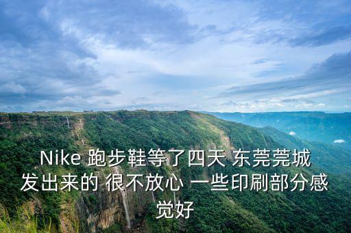 東莞沒鞋撐，Nike 跑步鞋等了四天 東莞莞城發出來的 很不放心 一些印刷部分感覺好