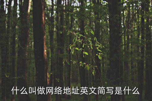 什么是網絡地址，什么叫做網絡地址英文簡寫是什么