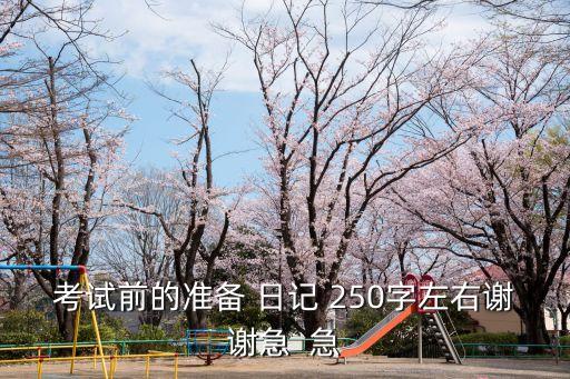 考試日記，考試尺度日記300字