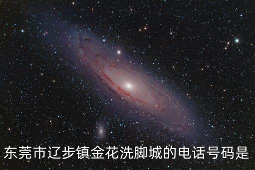 東莞市遼步鎮金花洗腳城的電話號碼是