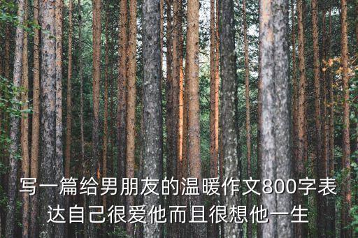 寫一篇給男朋友的溫暖作文800字表達自己很愛他而且很想他一生