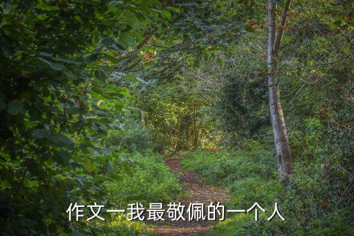 作文我最敬佩的人， 的作文