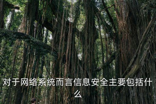 網絡信息安全，對于網絡系統而言信息安全主要包括什么