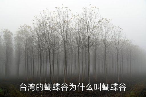 臺灣蝴蝶谷，臺灣蝴蝶谷簡單介紹