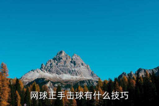 網(wǎng)球正手擊球，網(wǎng)球跑向正手位的擊球