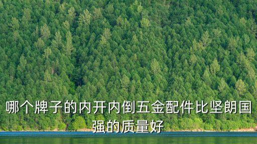 東莞藍思與堅朗那個好，興三星和堅朗哪個好