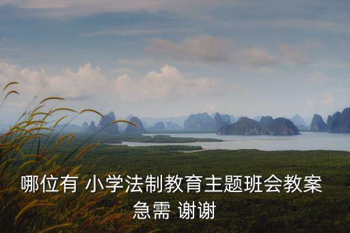 法制教育主題班會教案，法制主題班會活動