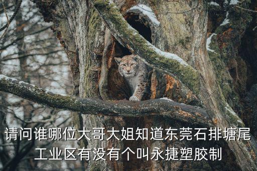 請(qǐng)問(wèn)誰(shuí)哪位大哥大姐知道東莞石排塘尾工業(yè)區(qū)有沒(méi)有個(gè)叫永捷塑膠制