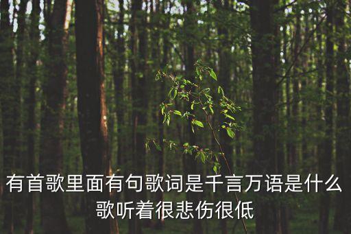有首歌里面有句歌詞是千言萬語是什么歌聽著很悲傷很低
