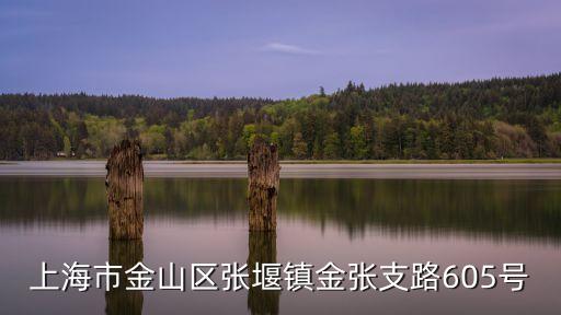 上海市金山區張堰鎮金張支路605號