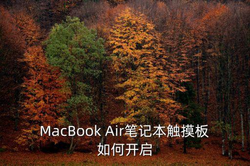 MacBook Air筆記本觸摸板如何開啟