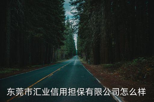 東莞市匯業信用擔保有限公司怎么樣