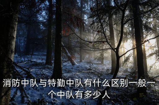 消防中隊(duì)與特勤中隊(duì)有什么區(qū)別一般一個(gè)中隊(duì)有多少人