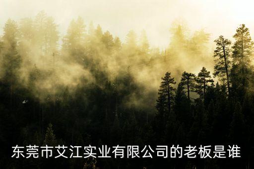 東莞市艾江實(shí)業(yè)有限公司的老板是誰(shuí)
