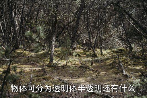 物體可分為透明體半透明還有什么