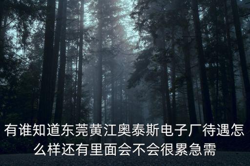 有誰知道東莞黃江奧泰斯電子廠待遇怎么樣還有里面會不會很累急需