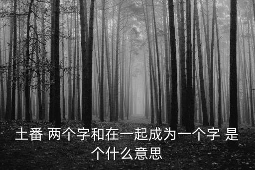 土番，土蕃在現今哪里