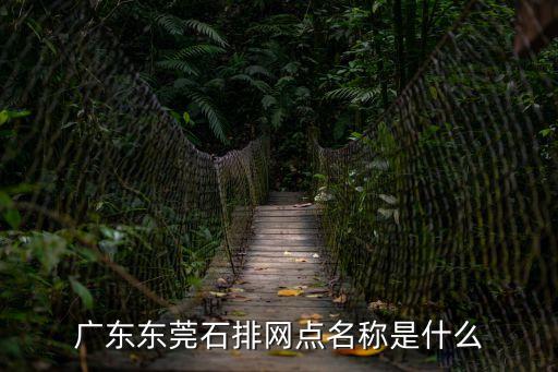 廣東東莞石排網(wǎng)點名稱是什么