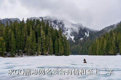 勵志昵稱2個字，勵志男生網名要有逐夢二字