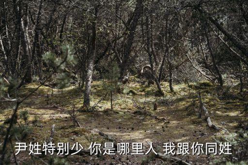 尹姓特別少 你是哪里人 我跟你同姓