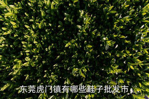 東莞哪有高檔鞋批發，東莞厚街有沒有高檔的外貿鞋批發啊知道的話告訴我一下