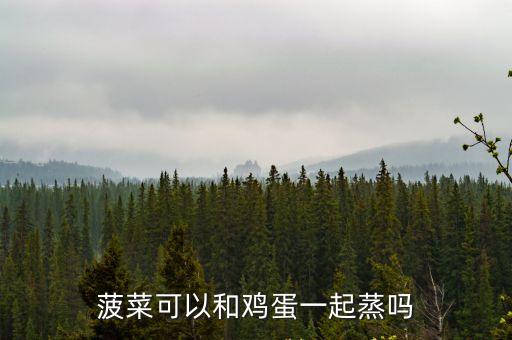 菠菜雞蛋羹，雞蛋羹里能不能放菠菜