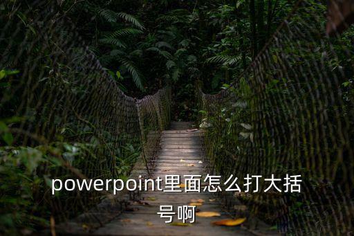 powerpoint里面怎么打大括號啊