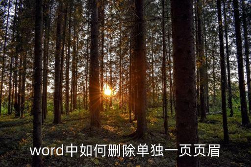 word中如何刪除單獨一頁頁眉