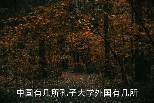 孔子大學，與孔子學院合作的中國學校都有哪些呀急求謝謝