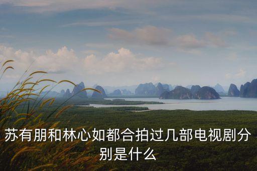 大贏家電影，蘇有朋和林心如都合拍過幾部電視劇分別是什么