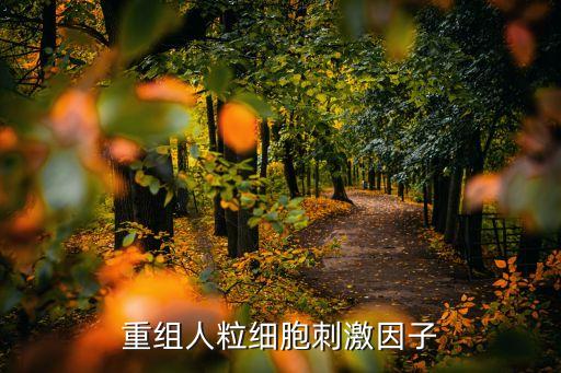 重組人粒細胞刺激因子，重組人粒細胞集落刺激因子注射液