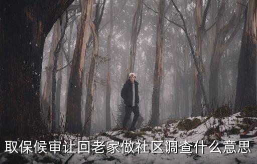 取保候審讓回老家做社區調查什么意思