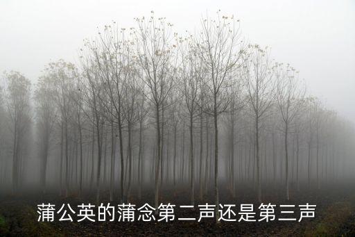 蒲公英的蒲念第二聲還是第三聲