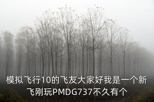 模擬飛行10的飛友大家好我是一個新飛剛玩PMDG737不久有個