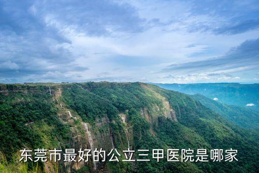 東莞哪家公立醫(yī)院好不好，東莞哪一家醫(yī)院好了