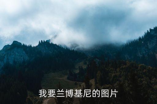 我要蘭博基尼的圖片
