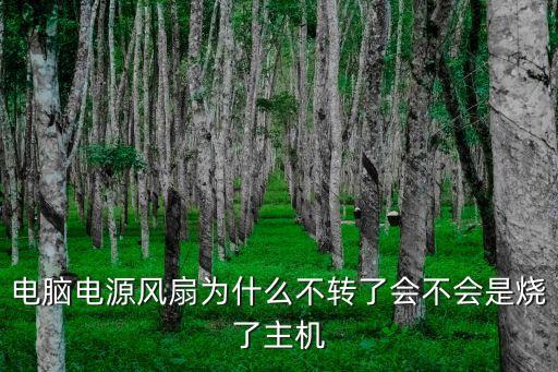 電腦電源風(fēng)扇不轉(zhuǎn)，電腦電源風(fēng)扇不轉(zhuǎn)了怎么解決呢
