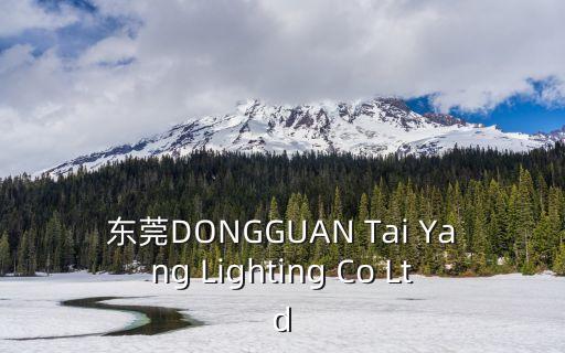 東莞DONGGUAN Tai Yang Lighting Co Ltd
