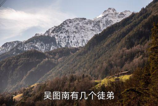 吳圖南，祝大彤和吳圖南兩人是什么關系